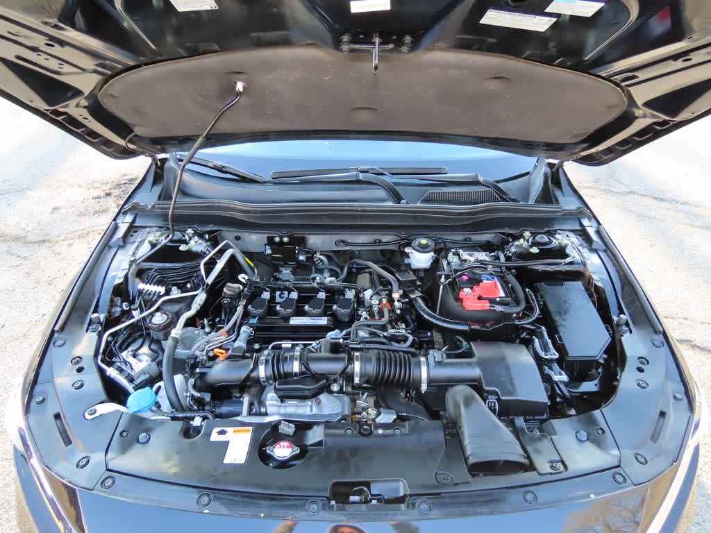 2019 Honda Accord Sedan LX 1.5T