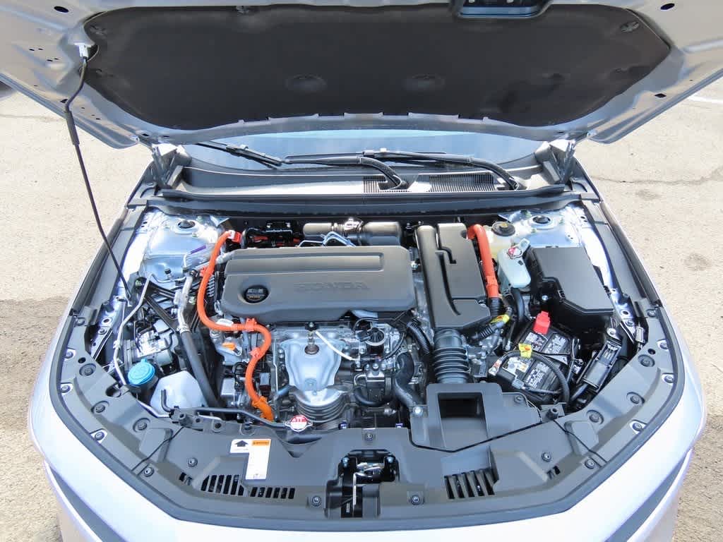 2026 Honda Accord Sport