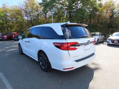 2023 Honda Odyssey Elite