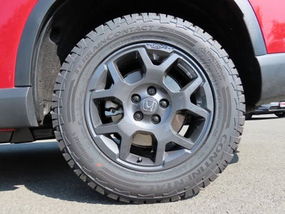 2025 Honda Pilot TrailSport