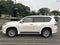 2019 Lexus GX Premium