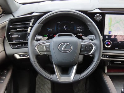 2025 Lexus RX Luxury