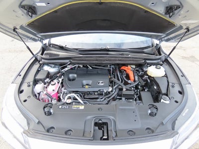 2025 Lexus RX Luxury