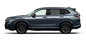 DCH Paramus Honda in Paramus NJ