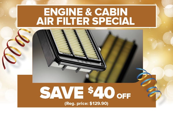 Engine & Cabin Air Filter Special